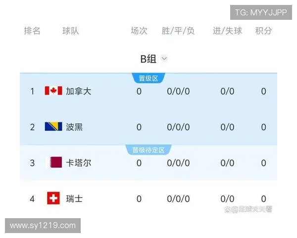 世界杯B组竞争最激烈位置分析